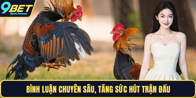 Bình luận chuyên sâu, tăng sức hút trận đấu