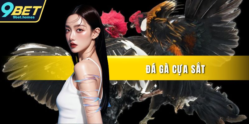 Đá gà cựa sắt