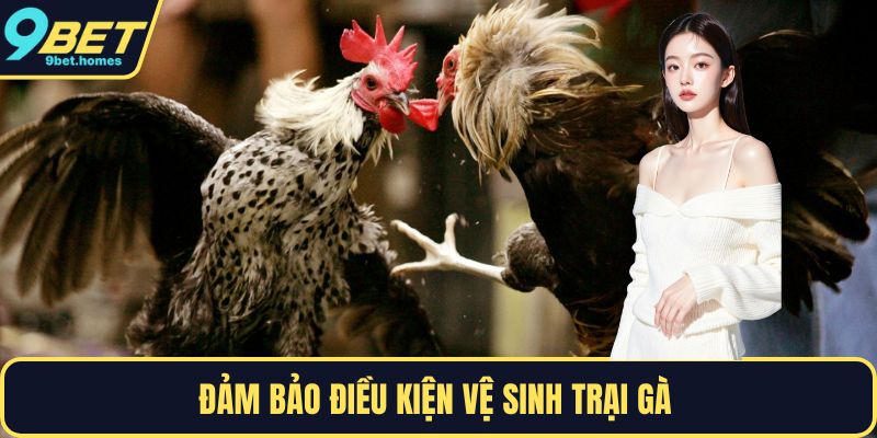 Đảm bảo điều kiện vệ sinh trại gà