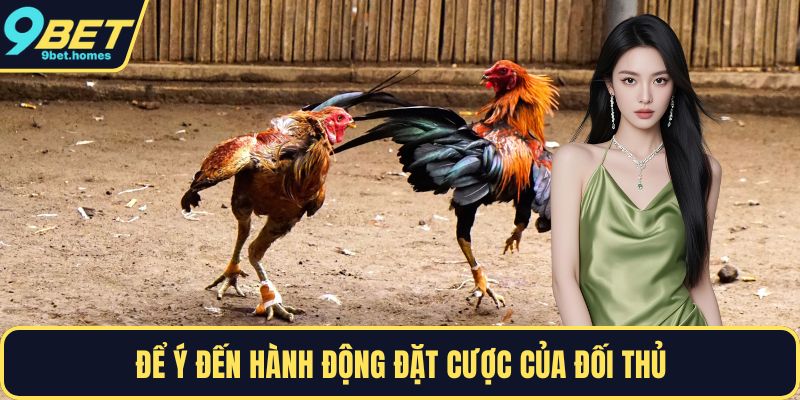 Để ý đến hành động đặt cược của đối thủ