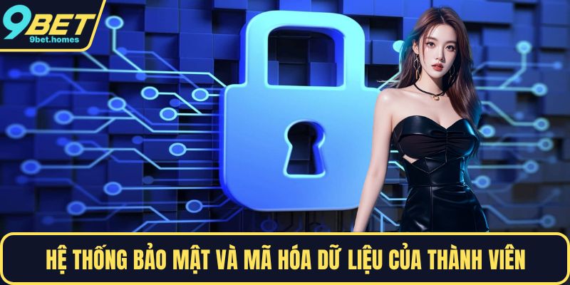 Hệ thống bảo mật và mã hóa dữ liệu của thành viên