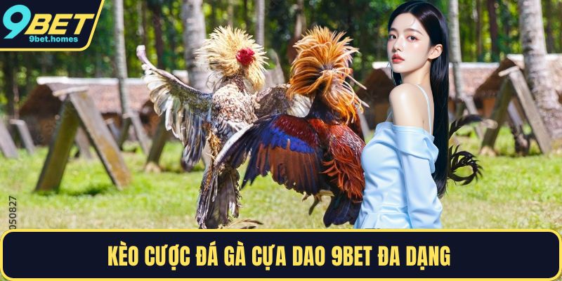 Kèo cược đá gà cựa dao 9BET đa dạng 