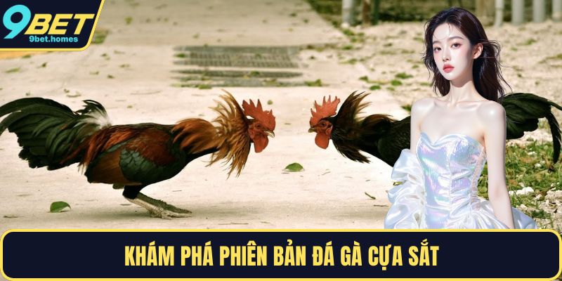 Khám phá phiên bản đá gà cựa sắt