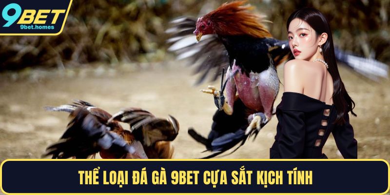 Thể loại đá gà 9BET cựa sắt kịch tính