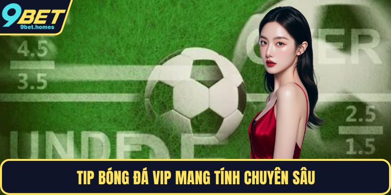 Tip bóng đá VIP mang tính chuyên sâu